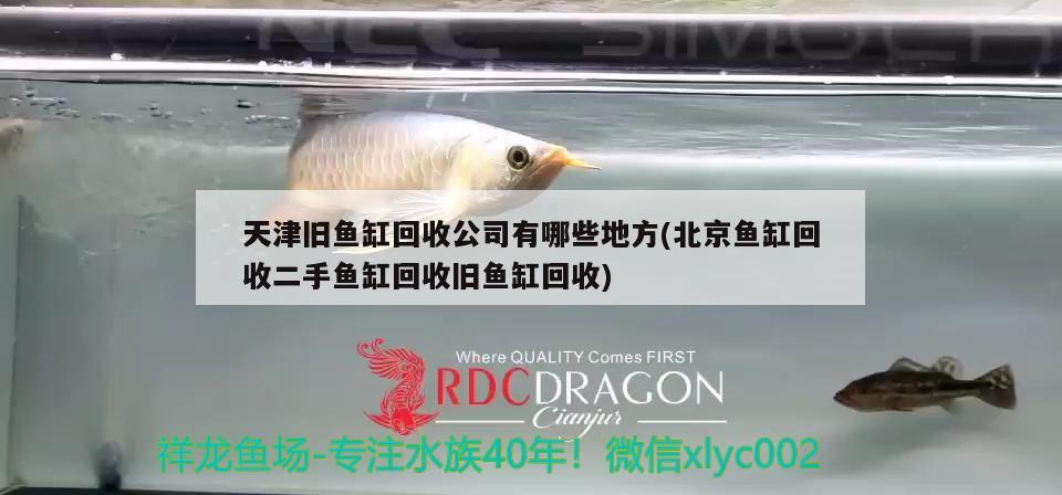 天津舊魚(yú)缸回收公司有哪些地方(北京魚(yú)缸回收二手魚(yú)缸回收舊魚(yú)缸回收) 魚(yú)缸/水族箱