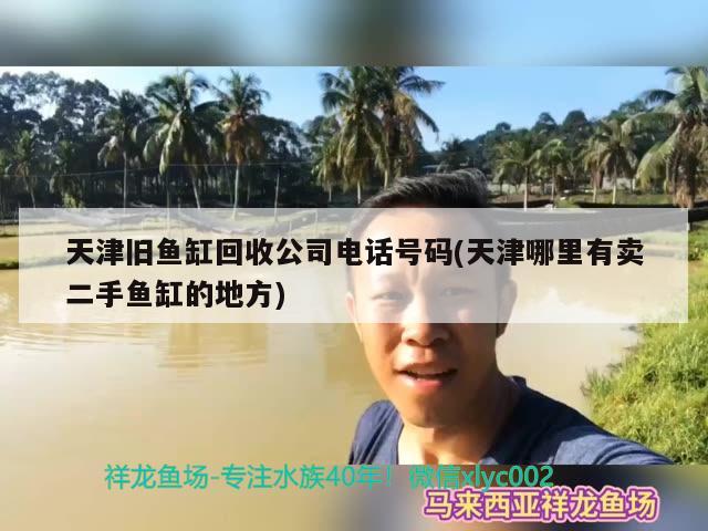 天津舊魚缸回收公司電話號碼(天津哪里有賣二手魚缸的地方)