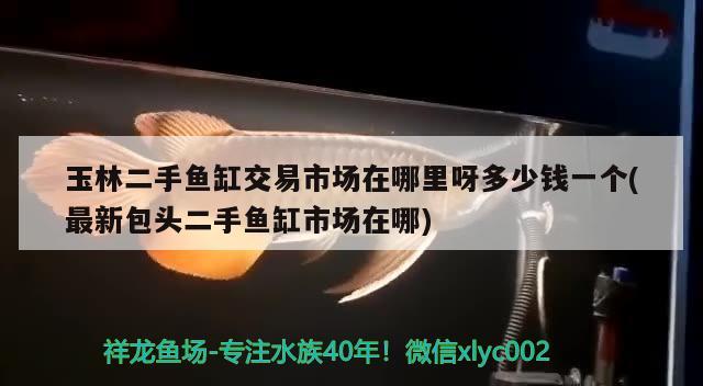 玉林二手魚缸交易市場在哪里呀多少錢一個(最新包頭二手魚缸市場在哪)