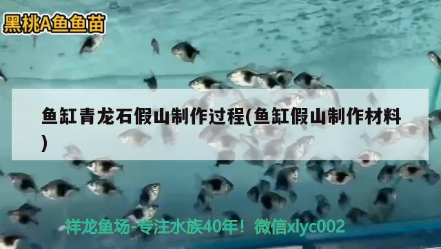 魚(yú)缸青龍石假山制作過(guò)程(魚(yú)缸假山制作材料) 孵化器