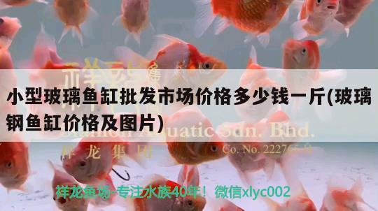 小型玻璃魚缸批發(fā)市場價格多少錢一斤(玻璃鋼魚缸價格及圖片)