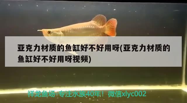 亞克力材質(zhì)的魚缸好不好用呀(亞克力材質(zhì)的魚缸好不好用呀視頻) 黃金達(dá)摩魚