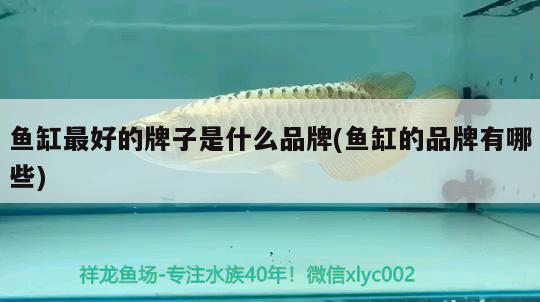 魚缸最好的牌子是什么品牌(魚缸的品牌有哪些)