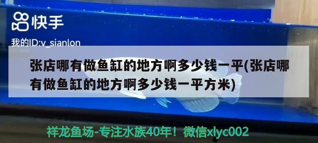 張店哪有做魚缸的地方啊多少錢一平(張店哪有做魚缸的地方啊多少錢一平方米)