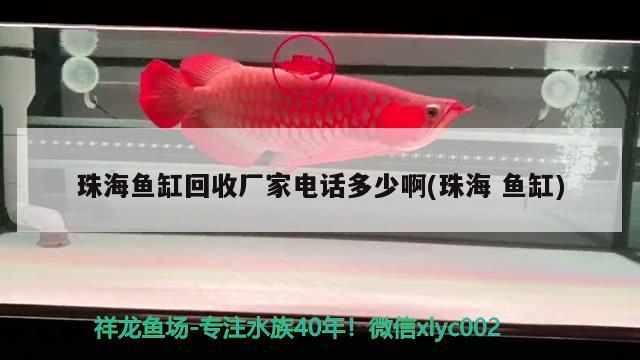 珠海魚缸回收廠家電話多少啊(珠海魚缸)