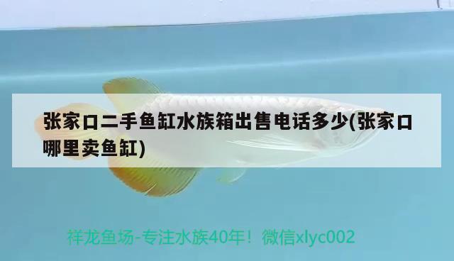 張家口二手魚缸水族箱出售電話多少(張家口哪里賣魚缸) 魚缸/水族箱