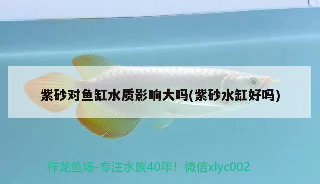 紫砂對魚缸水質(zhì)影響大嗎(紫砂水缸好嗎)