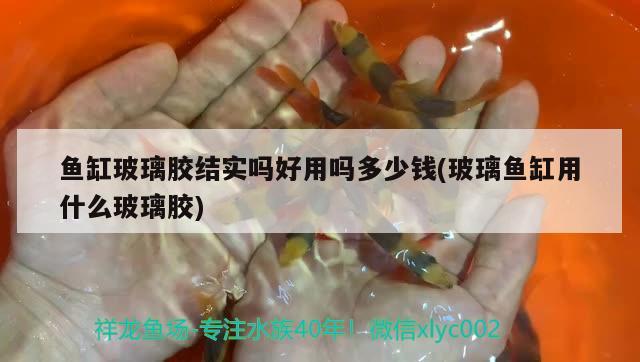 魚缸玻璃膠結(jié)實(shí)嗎好用嗎多少錢(玻璃魚缸用什么玻璃膠)