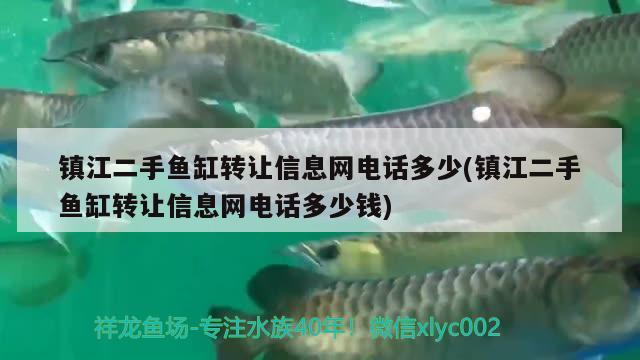 鎮(zhèn)江二手魚缸轉讓信息網(wǎng)電話多少(鎮(zhèn)江二手魚缸轉讓信息網(wǎng)電話多少錢) 埃及神仙魚