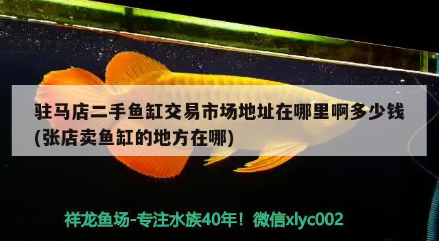 駐馬店二手魚缸交易市場地址在哪里啊多少錢(張店賣魚缸的地方在哪)