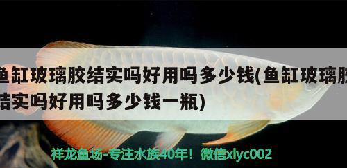 魚缸玻璃膠結(jié)實(shí)嗎好用嗎多少錢(魚缸玻璃膠結(jié)實(shí)嗎好用嗎多少錢一瓶)