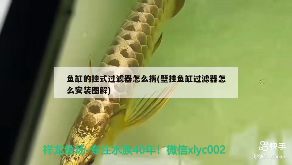 魚(yú)缸的掛式過(guò)濾器怎么拆(壁掛魚(yú)缸過(guò)濾器怎么安裝圖解) BD魟魚(yú)