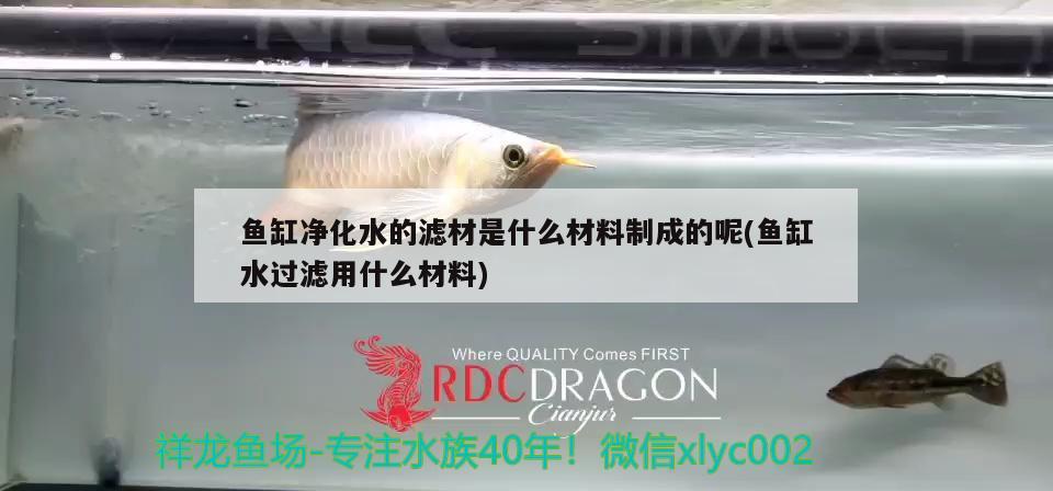 魚缸凈化水的濾材是什么材料制成的呢(魚缸水過濾用什么材料) 元寶鳳凰魚專用魚糧