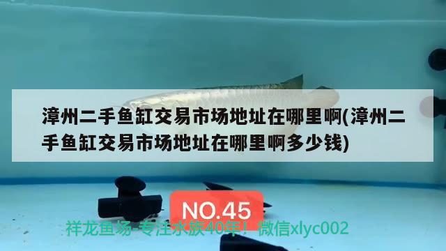 漳州二手魚缸交易市場地址在哪里啊(漳州二手魚缸交易市場地址在哪里啊多少錢) 黑桃A魚苗