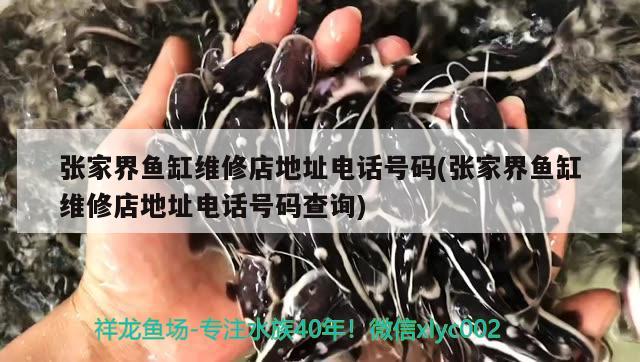 張家界魚缸維修店地址電話號碼(張家界魚缸維修店地址電話號碼查詢) 撒旦鴨嘴魚