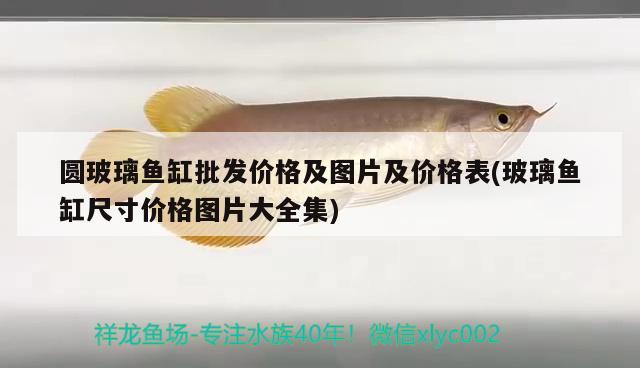 圓玻璃魚缸批發(fā)價格及圖片及價格表(玻璃魚缸尺寸價格圖片大全集)