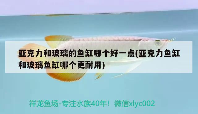 亞克力和玻璃的魚缸哪個(gè)好一點(diǎn)(亞克力魚缸和玻璃魚缸哪個(gè)更耐用) 粗線銀版魚