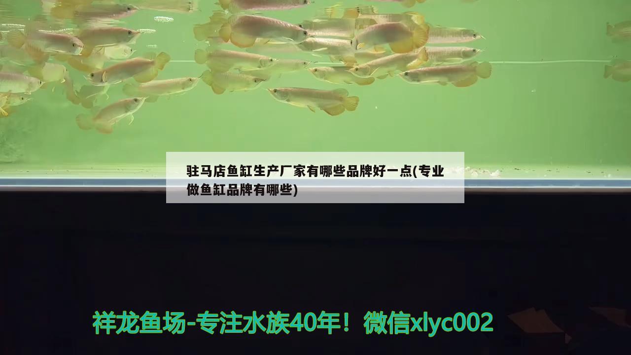 駐馬店魚缸生產(chǎn)廠家有哪些品牌好一點(專業(yè)做魚缸品牌有哪些)