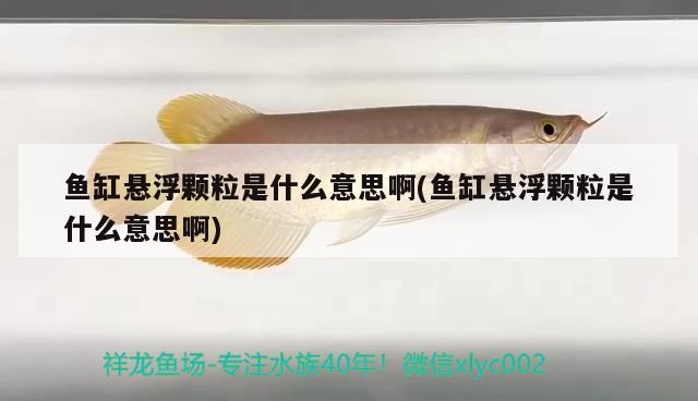 魚缸懸浮顆粒是什么意思啊(魚缸懸浮顆粒是什么意思啊)