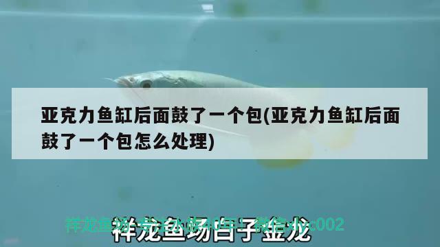 亞克力魚(yú)缸后面鼓了一個(gè)包(亞克力魚(yú)缸后面鼓了一個(gè)包怎么處理) 伊巴卡魚(yú)