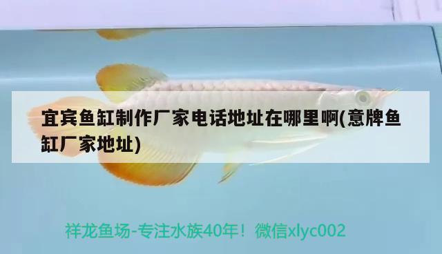 宜賓魚缸制作廠家電話地址在哪里啊(意牌魚缸廠家地址)