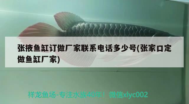 張掖魚缸訂做廠家聯(lián)系電話多少號(張家口定做魚缸廠家)