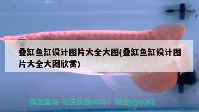 疊缸魚缸設計圖片大全大圖(疊缸魚缸設計圖片大全大圖欣賞)