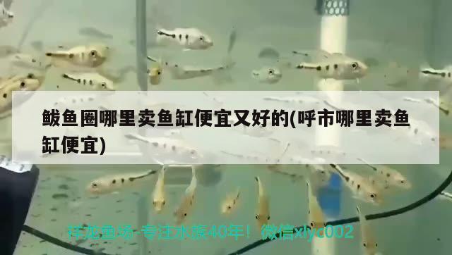 鲅魚圈哪里賣魚缸便宜又好的(呼市哪里賣魚缸便宜) 魚缸凈水劑