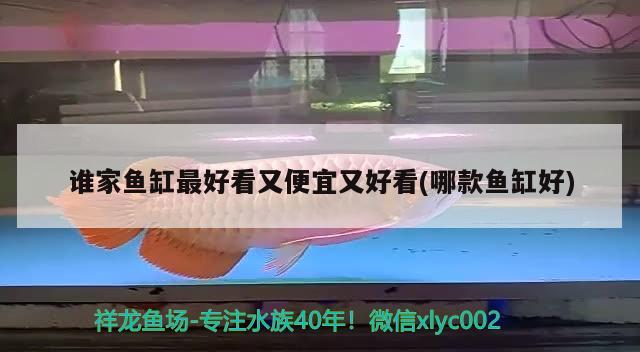 誰(shuí)家魚缸最好看又便宜又好看(哪款魚缸好) 過(guò)濾設(shè)備