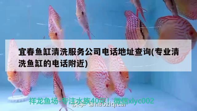 宜春魚缸清洗服務(wù)公司電話地址查詢(專業(yè)清洗魚缸的電話附近) 藍(lán)帆三間魚