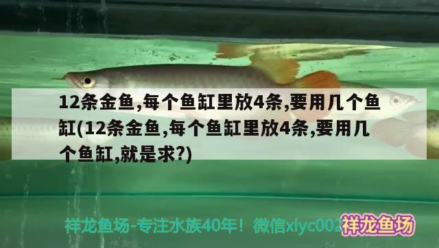 12條金魚,每個(gè)魚缸里放4條,要用幾個(gè)魚缸(12條金魚,每個(gè)魚缸里放4條,要用幾個(gè)魚缸,就是求?)