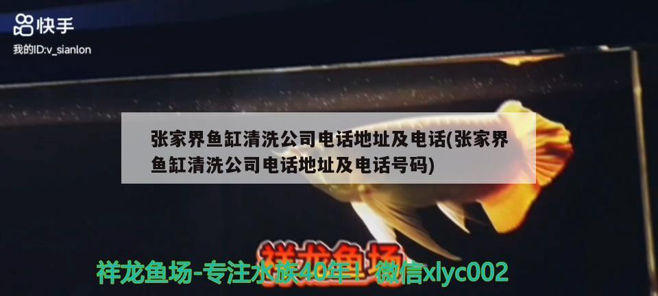 張家界魚缸清洗公司電話地址及電話(張家界魚缸清洗公司電話地址及電話號碼) 星點金龍魚