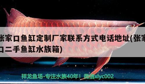 張家口魚缸定制廠家聯(lián)系方式電話地址(張家口二手魚缸水族箱) 魚缸/水族箱