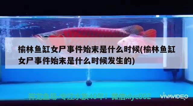 榆林魚缸女尸事件始末是什么時候(榆林魚缸女尸事件始末是什么時候發(fā)生的) 水族品牌