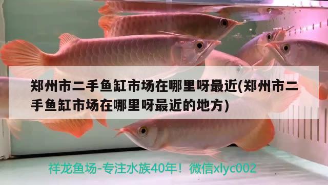 鄭州市二手魚缸市場在哪里呀最近(鄭州市二手魚缸市場在哪里呀最近的地方)