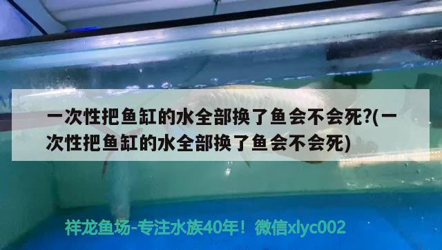 一次性把魚缸的水全部換了魚會(huì)不會(huì)死?(一次性把魚缸的水全部換了魚會(huì)不會(huì)死) 祥龍魚場(chǎng)其他產(chǎn)品