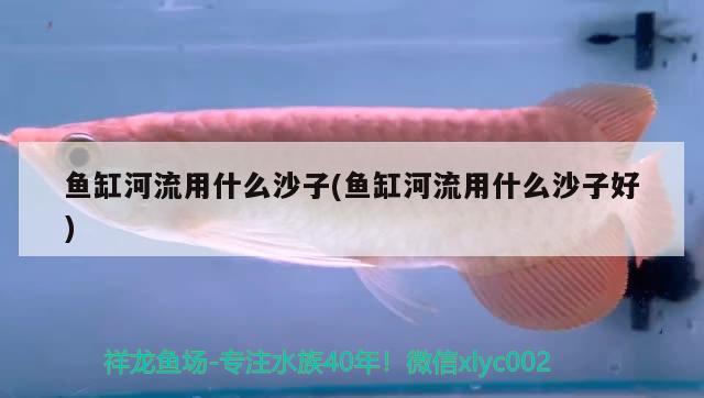 魚缸河流用什么沙子(魚缸河流用什么沙子好) 龍魚專用燈