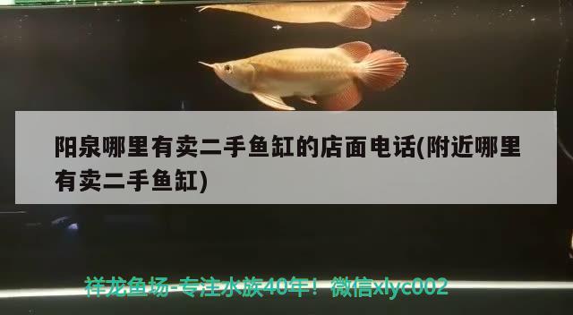 陽泉哪里有賣二手魚缸的店面電話(附近哪里有賣二手魚缸)