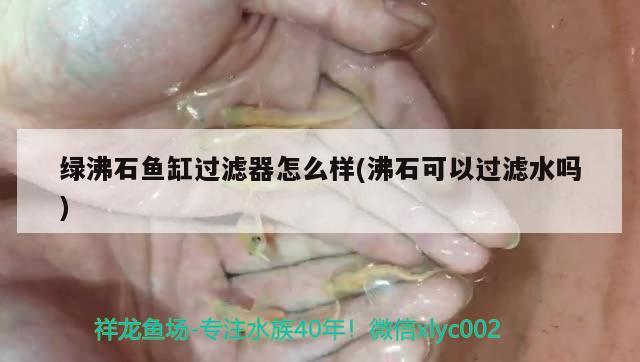 綠沸石魚缸過濾器怎么樣(沸石可以過濾水嗎)