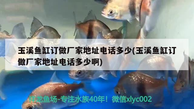 玉溪魚缸訂做廠家地址電話多少(玉溪魚缸訂做廠家地址電話多少啊) 水溫計