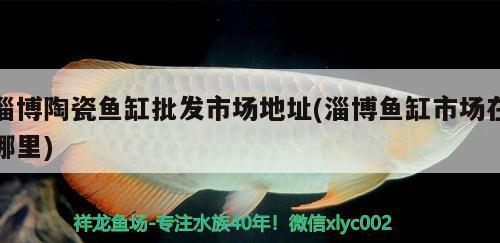 淄博陶瓷魚(yú)缸批發(fā)市場(chǎng)地址(淄博魚(yú)缸市場(chǎng)在哪里) 印尼虎苗