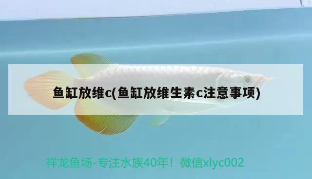 魚缸放維c(魚缸放維生素c注意事項) 虎斑恐龍魚