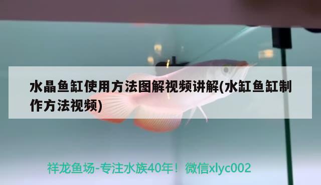 水晶魚缸使用方法圖解視頻講解(水缸魚缸制作方法視頻) 稀有金龍魚