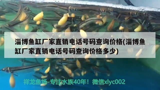 淄博魚缸廠家直銷電話號碼查詢價格(淄博魚缸廠家直銷電話號碼查詢價格多少) 銀龍魚百科