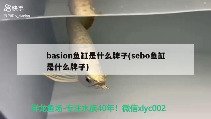 basion魚缸是什么牌子(sebo魚缸是什么牌子) 巴西亞魚