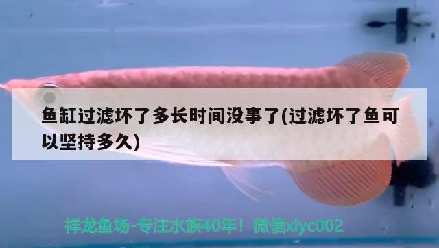 魚缸過濾壞了多長時(shí)間沒事了(過濾壞了魚可以堅(jiān)持多久) 黃寬帶蝴蝶魚