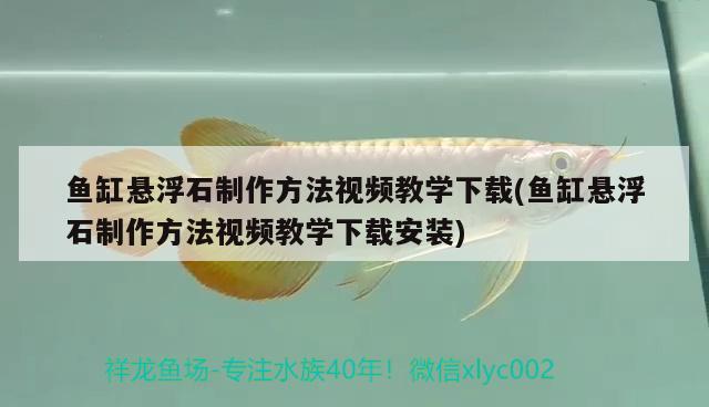 魚缸懸浮石制作方法視頻教學下載(魚缸懸浮石制作方法視頻教學下載安裝) 觀賞魚水族批發(fā)市場