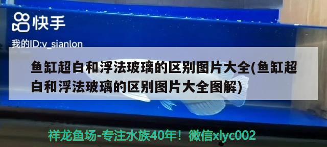 魚缸超白和浮法玻璃的區(qū)別圖片大全(魚缸超白和浮法玻璃的區(qū)別圖片大全圖解)