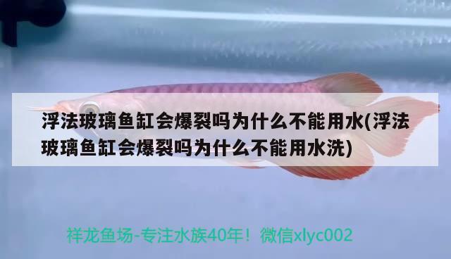 浮法玻璃魚缸會(huì)爆裂嗎為什么不能用水(浮法玻璃魚缸會(huì)爆裂嗎為什么不能用水洗) 黑金魟魚