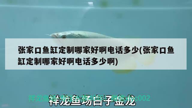 張家口魚(yú)缸定制哪家好啊電話多少(張家口魚(yú)缸定制哪家好啊電話多少啊) 祥龍龍魚(yú)魚(yú)糧